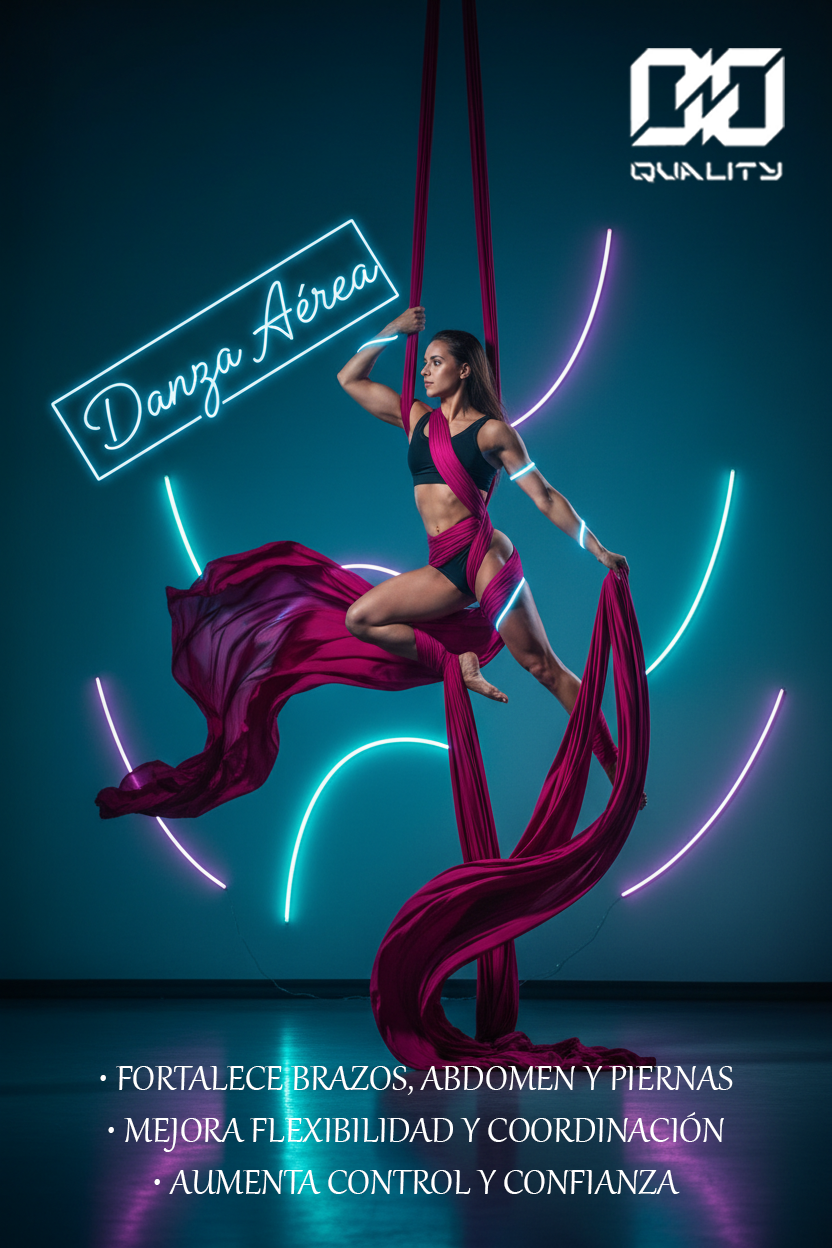 Danza Aérea